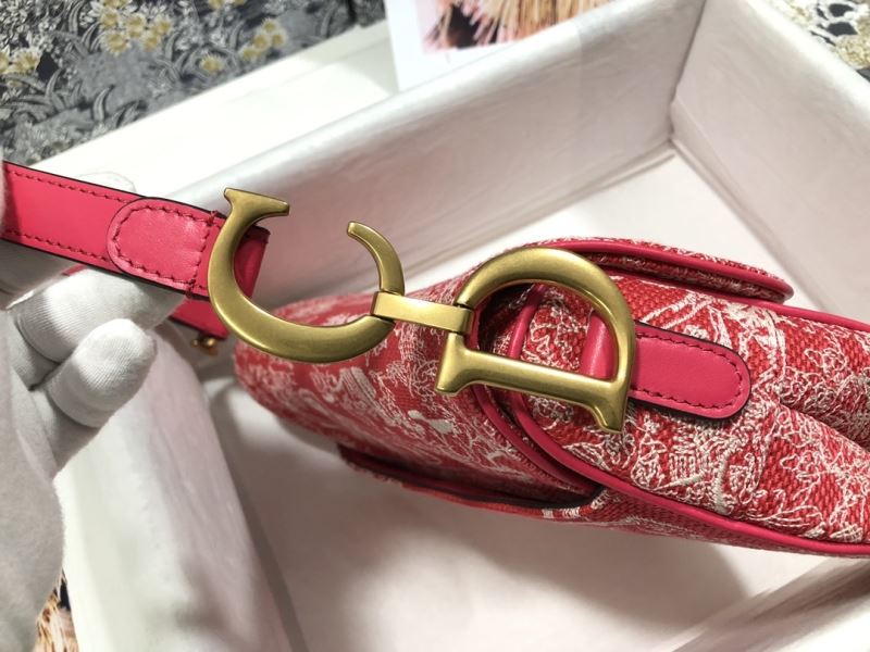 Christian Dior Saddle Bags